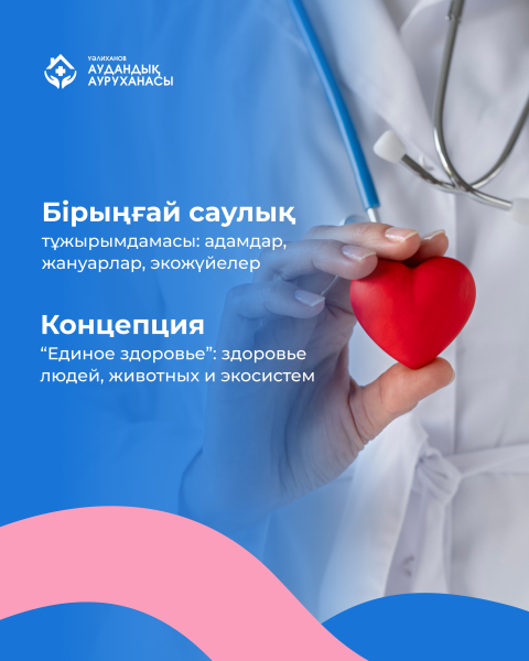 «Бірыңғай саулық» тұжырымдамасы деген не?